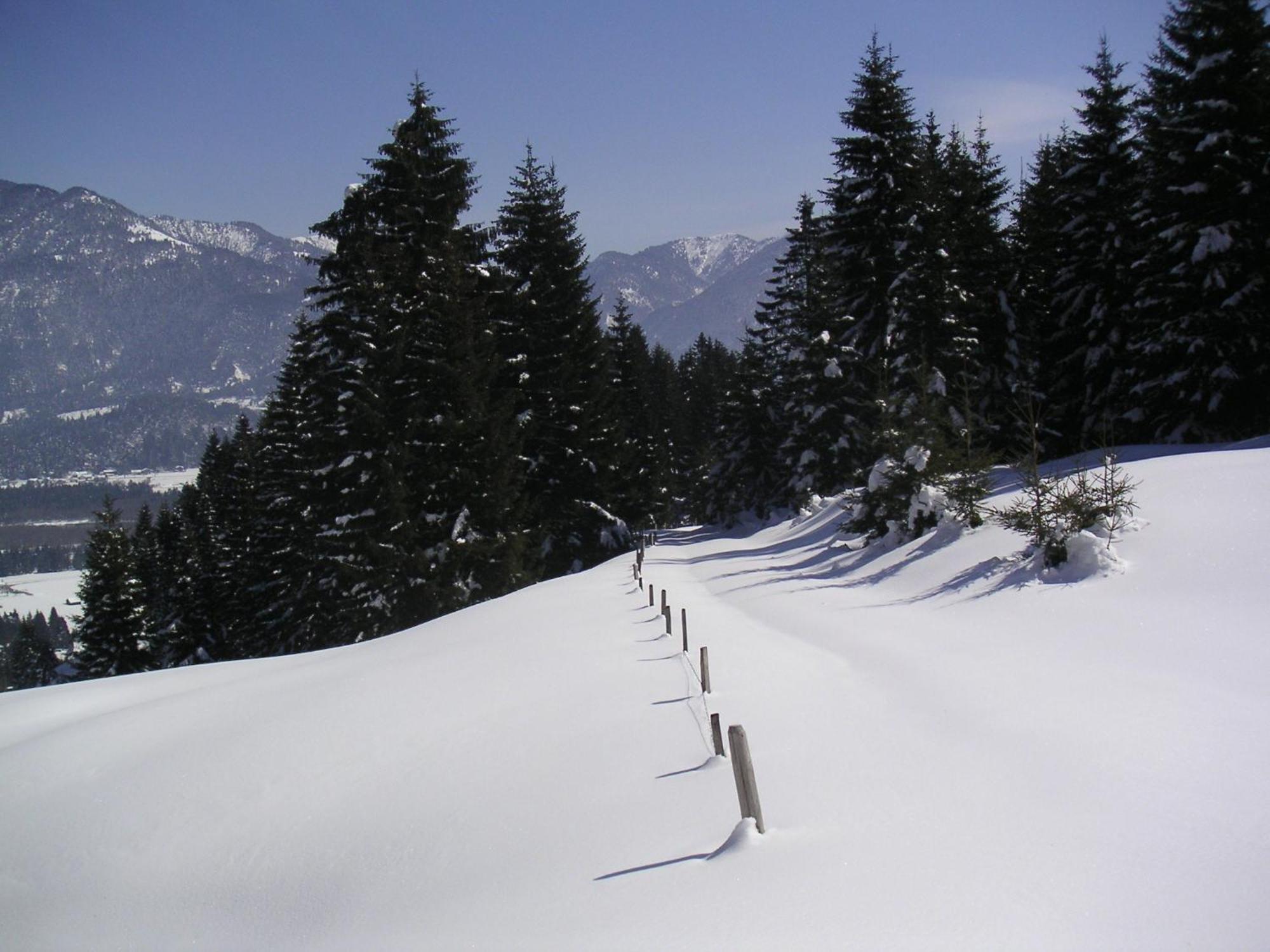 Gintherhof Reutte Exterior photo